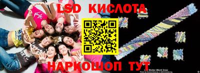 дмт Сланцы