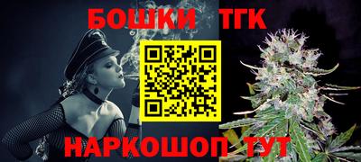 дмт Сланцы