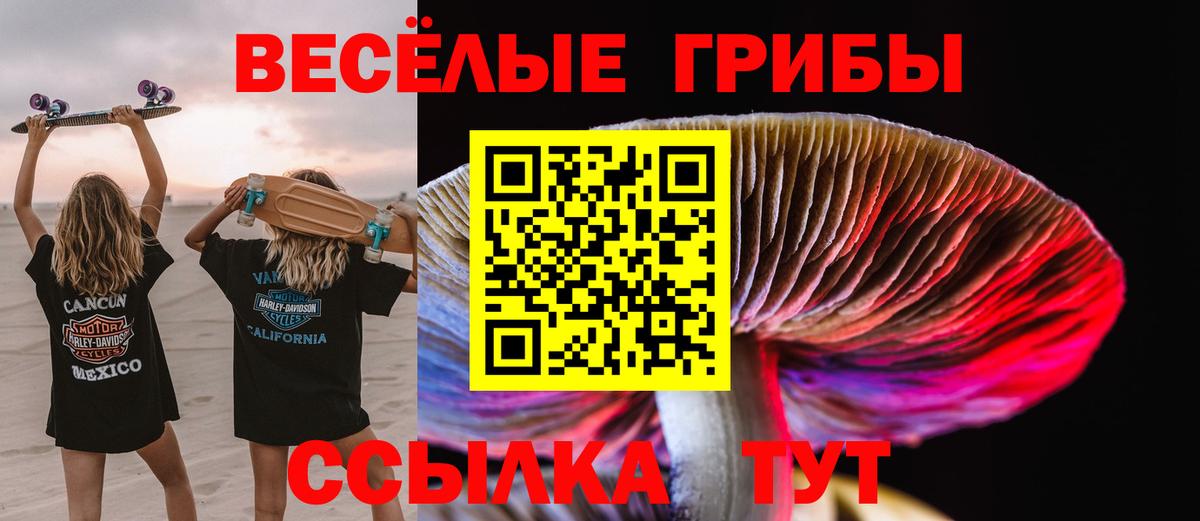 Галлюциногенные грибы MAGIC MUSHROOMS  Вход с VPN  Петропавловск-Камчатский 