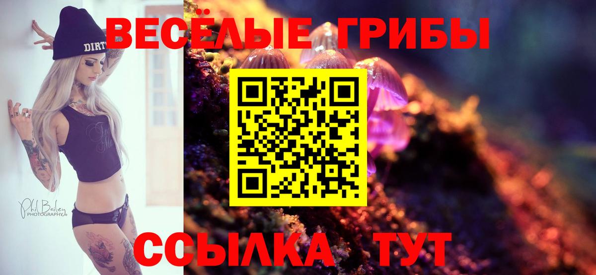 Псилоцибиновые грибы Magic Shrooms Петропавловск-Камчатский